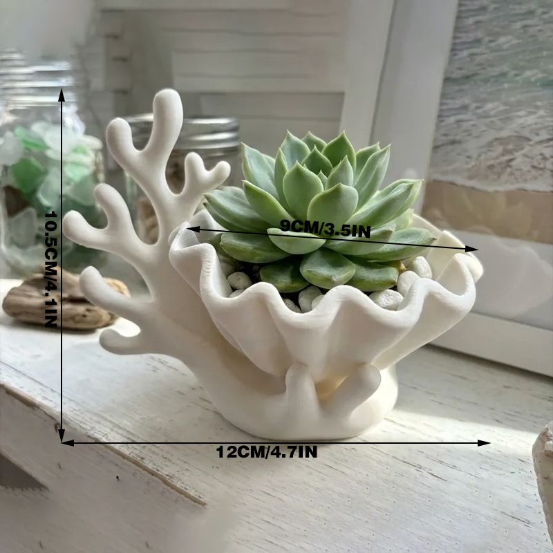 Planter | 3D-Printed Coral Shell Succulent Planter Pot | White
