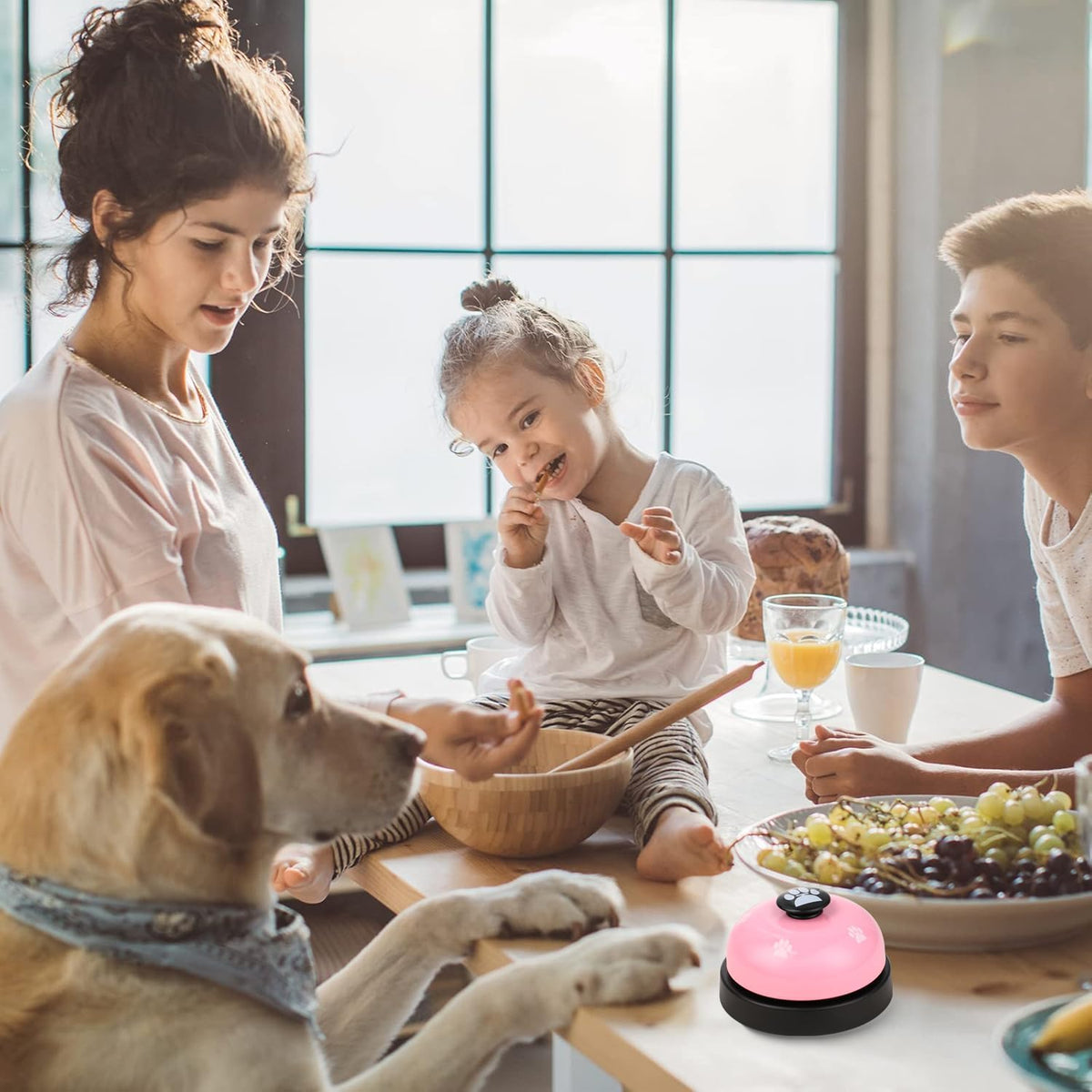 Pet Décor | Cat Paw Call Bell Desktop Pet Training Bell | Pink