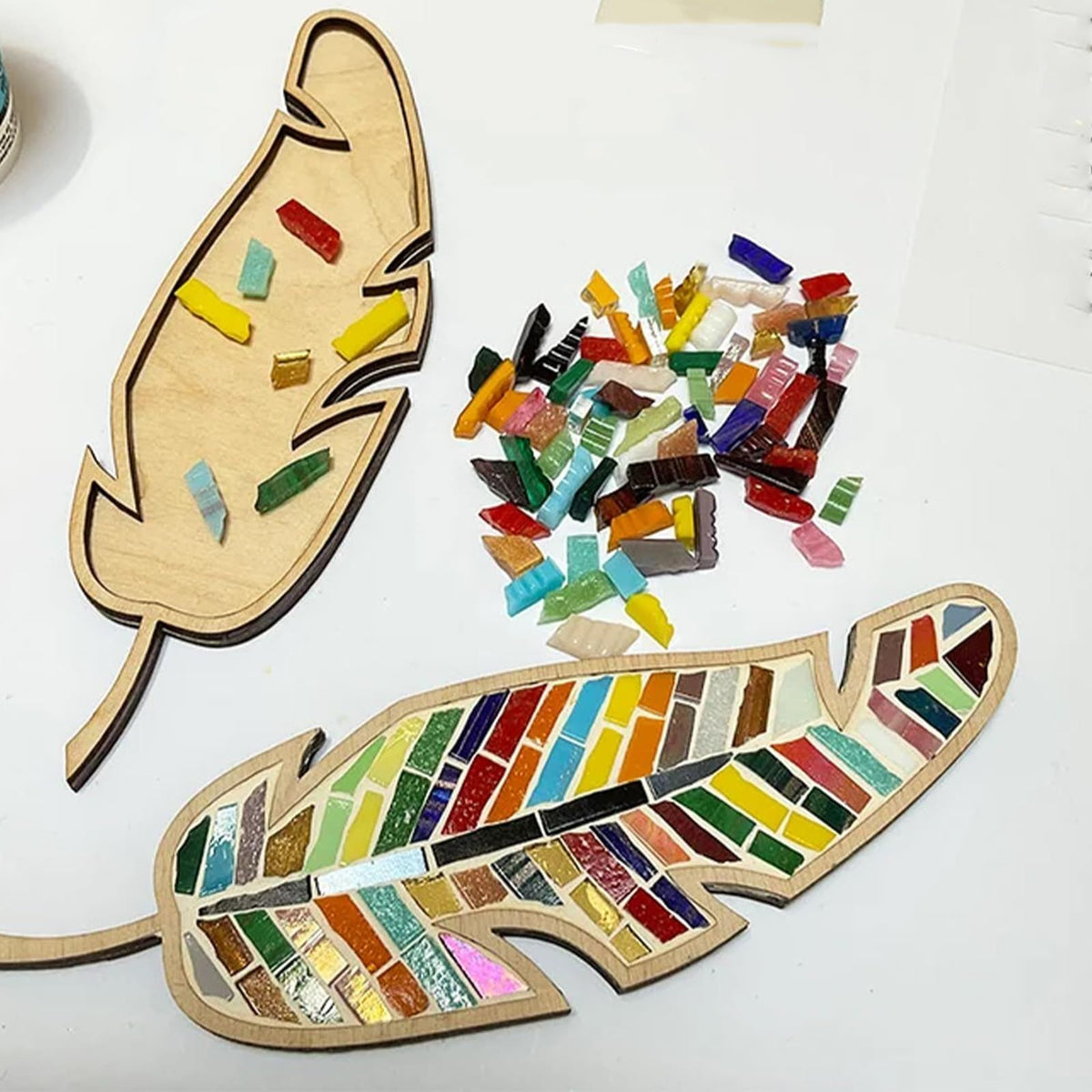 Hobby | DIY Mosaic Feather Kit | Colourful