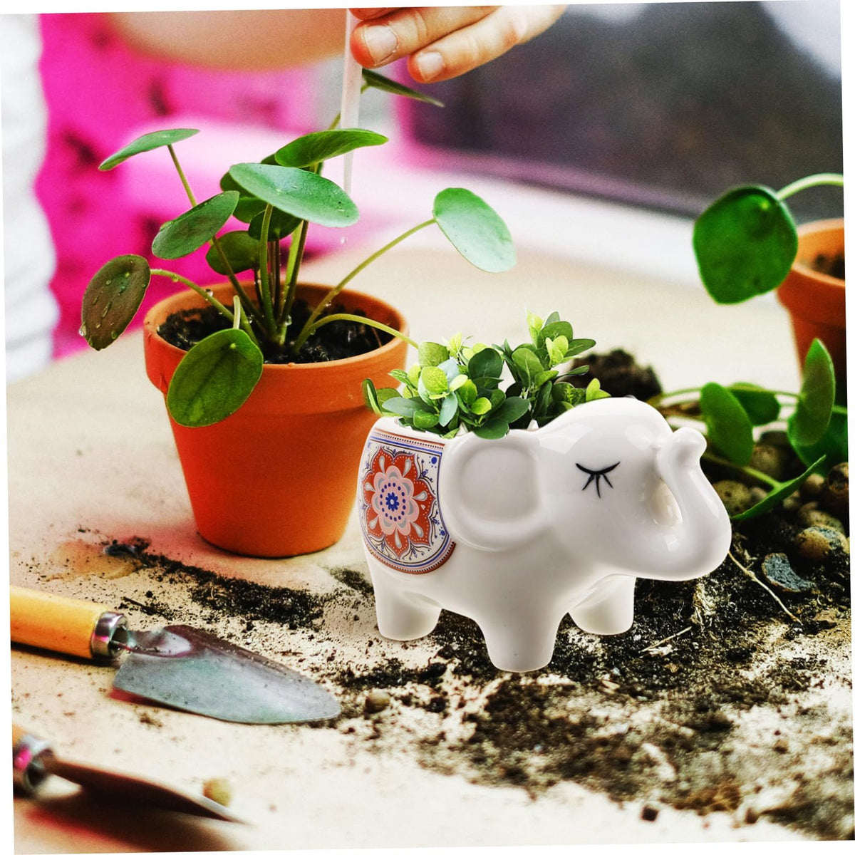 Planter | Ceramic Elephant Succulent Planter Pot | White