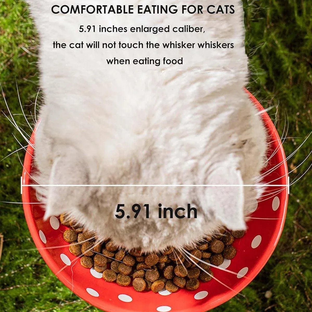Pet Bowl | Pet Elevated Ceramic Mushroom Bowl | Red and White
