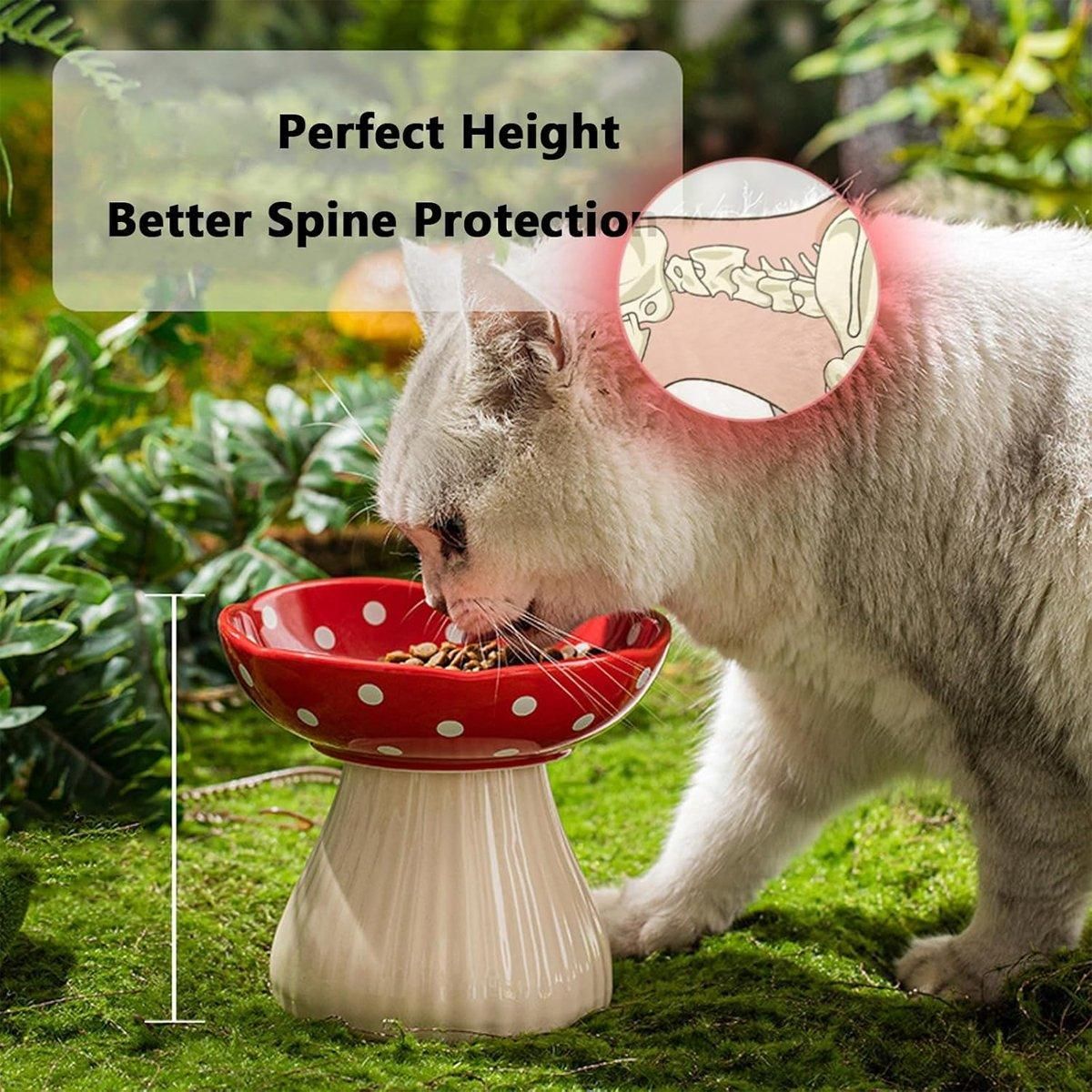 Pet Bowl | Pet Elevated Ceramic Mushroom Bowl | Red and White